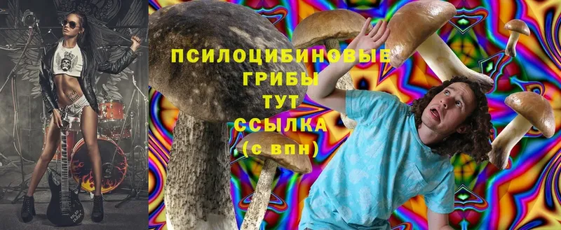 Галлюциногенные грибы Cubensis  Адыгейск 