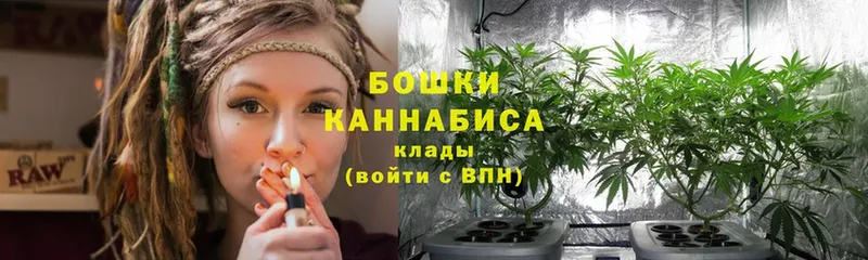 купить наркотики цена  Адыгейск  Конопля VHQ 